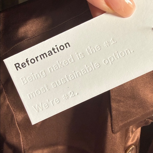 Reformation brown silk mini dress - Picture 11 of 13